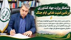 شاهکار وزارت جهاد کشاورزی در تأمین امنیت غذایی ایام جنگ